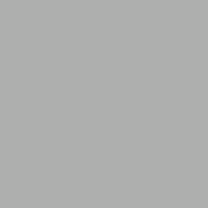 PIGMENT PASTE GREY 72051 (RAL 9006) WHITE ALUMINIUM