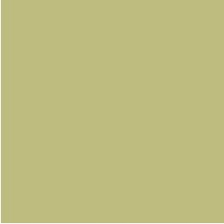 PIGMENT PASTE BEIGE 11058 (RAL 1000) / 5KG