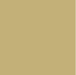PIGMENT PASTE BEIGE 11056 (RAL 1001) / 5KG