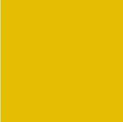 PIGMENT PASTE YELLOW 11033 (RAL 1003) / 5KG
