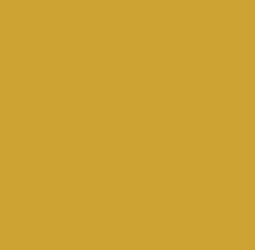 GEL COAT 610 YELLOW 11075 (RAL 1004) PA BRUSH / 25KG