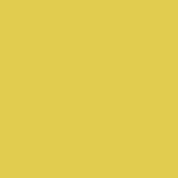 PIGMENT PASTE BEIGE 11034 (RAL 1011) / 5KG