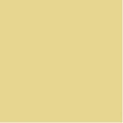 PIGMENT PASTE IVORY 11012 (RAL 1015) / 5KG
