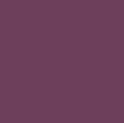 PIGMENT PASTE VIOLET 42012 (RAL 4001) / 5KG