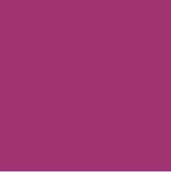 PIGMENT PASTE VIOLET 42009 (RAL 4006) / 5KG