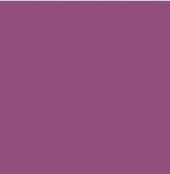 PIGMENT PASTE VIOLET 42002 (RAL 4007) / 5KG
