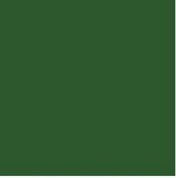 PIGMENT PASTE GREEN 62015 (RAL 6002) / 5KG