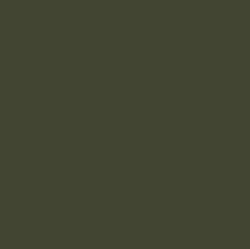 PIGMENT PASTE GREEN 62054 (RAL 6003) / 5KG