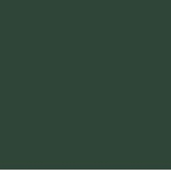PIGMENT PASTE GREEN 62008 (RAL 6005) / 5KG