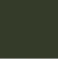 PIGMENT PASTE GREEN 62049 (RAL 6007) / 5KG