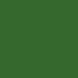 PIGMENT PASTE GREEN 62017 (RAL 6010) / 5KG