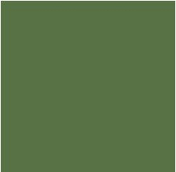PIGMENT PASTE GREEN 62037 (RAL 6011) / 5KG