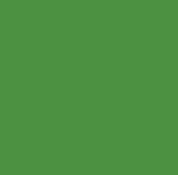 PIGMENT PASTE GREEN 62028 (RAL 6017) / 5KG