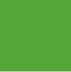 PIGMENT PASTE GREEN 62063 (RAL 6018) / 5KG