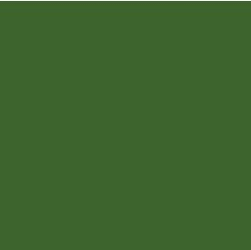 PIGMENT PASTE GREEN 62069 (RAL 6025) / 5KG