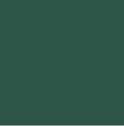 PIGMENT PASTE GREEN 62075 (RAL 6028) / 5KG