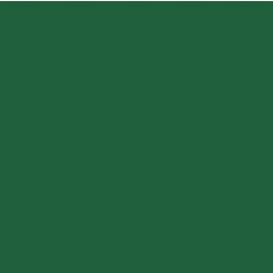 GEL COAT 610 GREEN 62029 (RAL 6029) PA BRUSH / 25KG