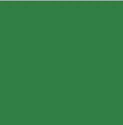 PIGMENT PASTE GREEN 62058 (RAL 6032) / 5KG