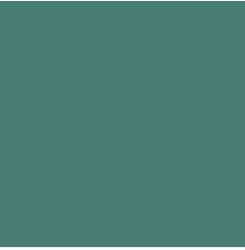 PIGMENT PASTE GREEN 62051 (RAL 6033) / 5KG