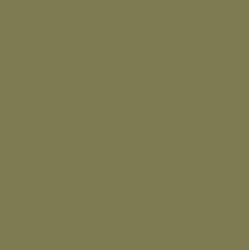 PIGMENT PASTE GREY 72089 (RAL 7002) / 5KG