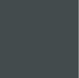PIGMENT PASTE GREY 70010 (RAL 7011) / 5KG