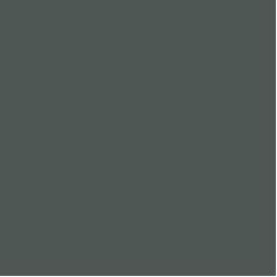 PIGMENT PASTE GREY 72069 (RAL 7012) / 5KG