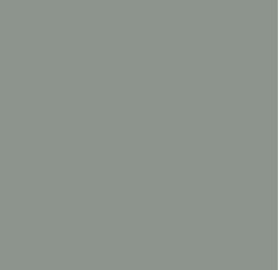PIGMENT PASTE GREY 72038 (RAL 7042) / 5KG